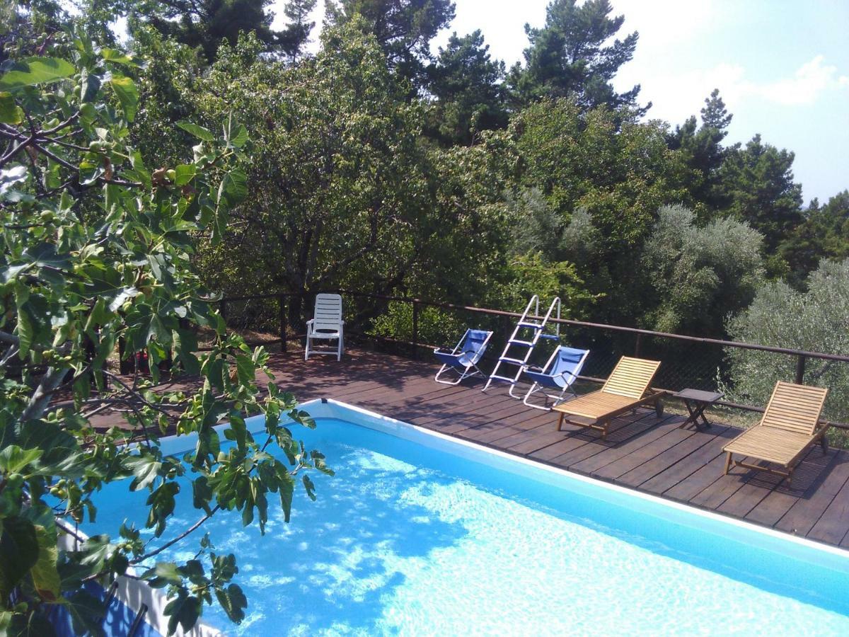 Country House Near Casa rural Florencia