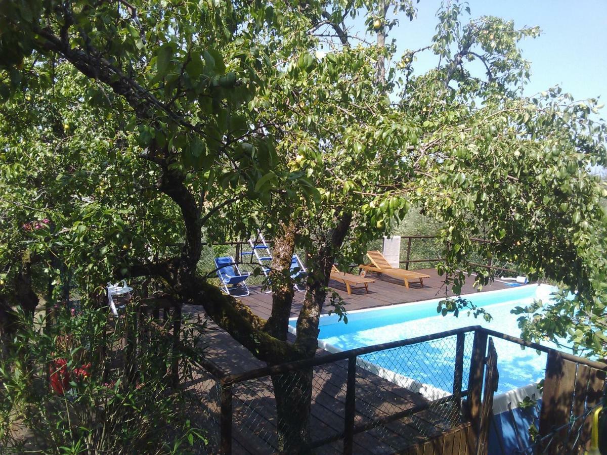 Casa rural Country House Near
