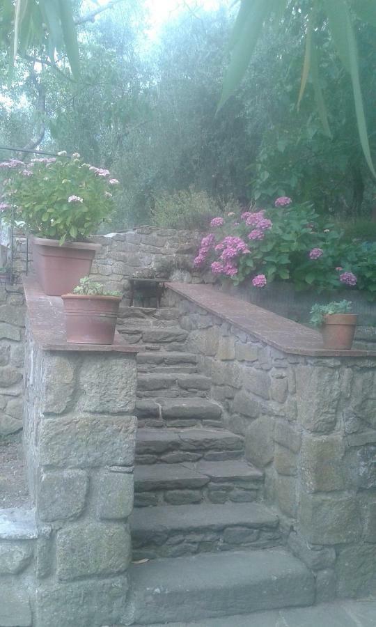 Country House Near Florencia